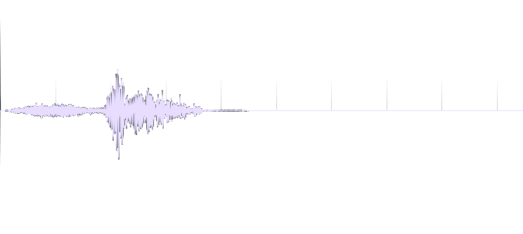 waveform swag